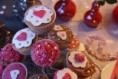/album/fotogallerij/dsc09565-jpg/